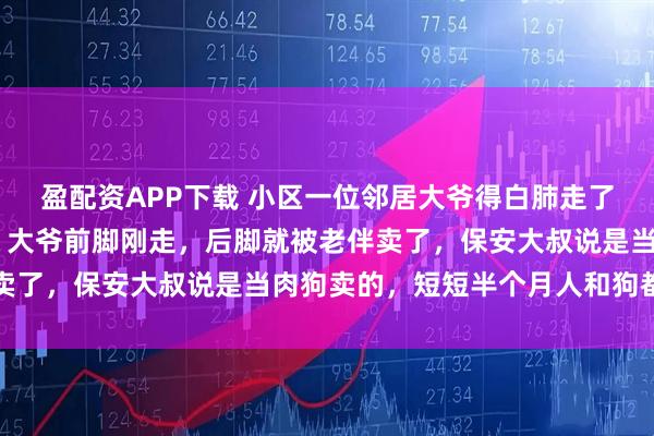 盈配资APP下载 小区一位邻居大爷得白肺走了，养了13年的哈士奇，大爷前脚刚走，后脚就被老伴卖了，保安大叔说是当肉狗卖的，短短半个月人和狗都没了