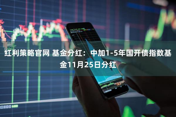 红利策略官网 基金分红：中加1-5年国开债指数基金11月25日分红