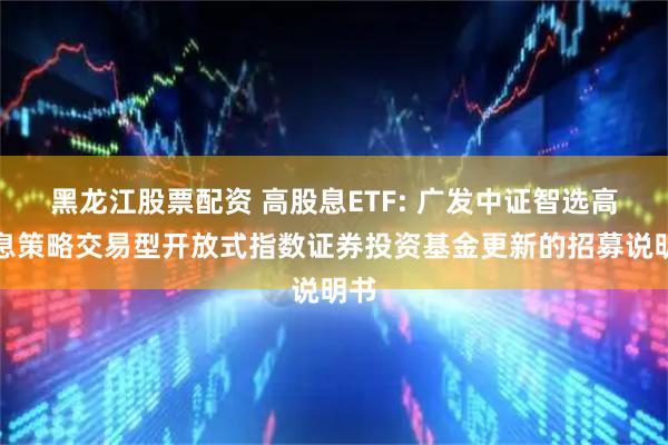 黑龙江股票配资 高股息ETF: 广发中证智选高股息策略交易型开放式指数证券投资基金更新的招募说明书